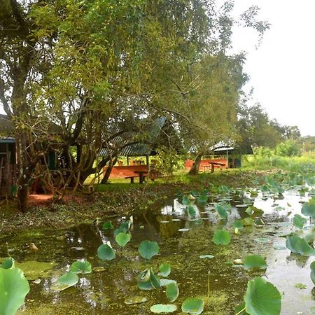 אנוראדפורה Meegahapokuna Resort מראה חיצוני תמונה