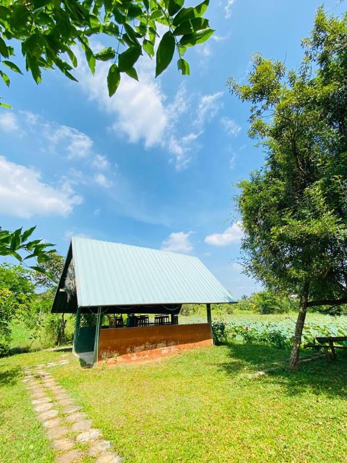 אנוראדפורה Meegahapokuna Resort מראה חיצוני תמונה