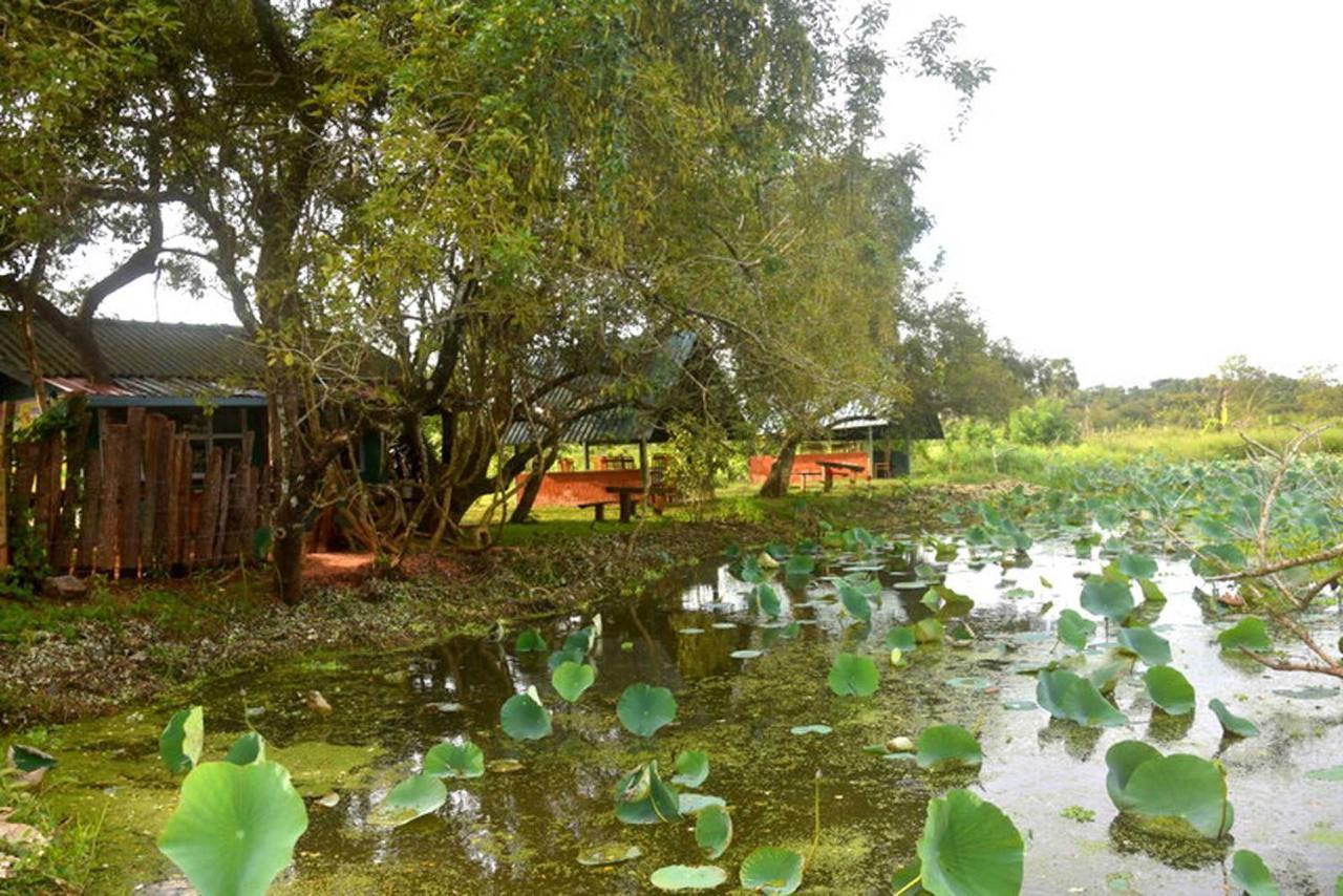 אנוראדפורה Meegahapokuna Resort מראה חיצוני תמונה