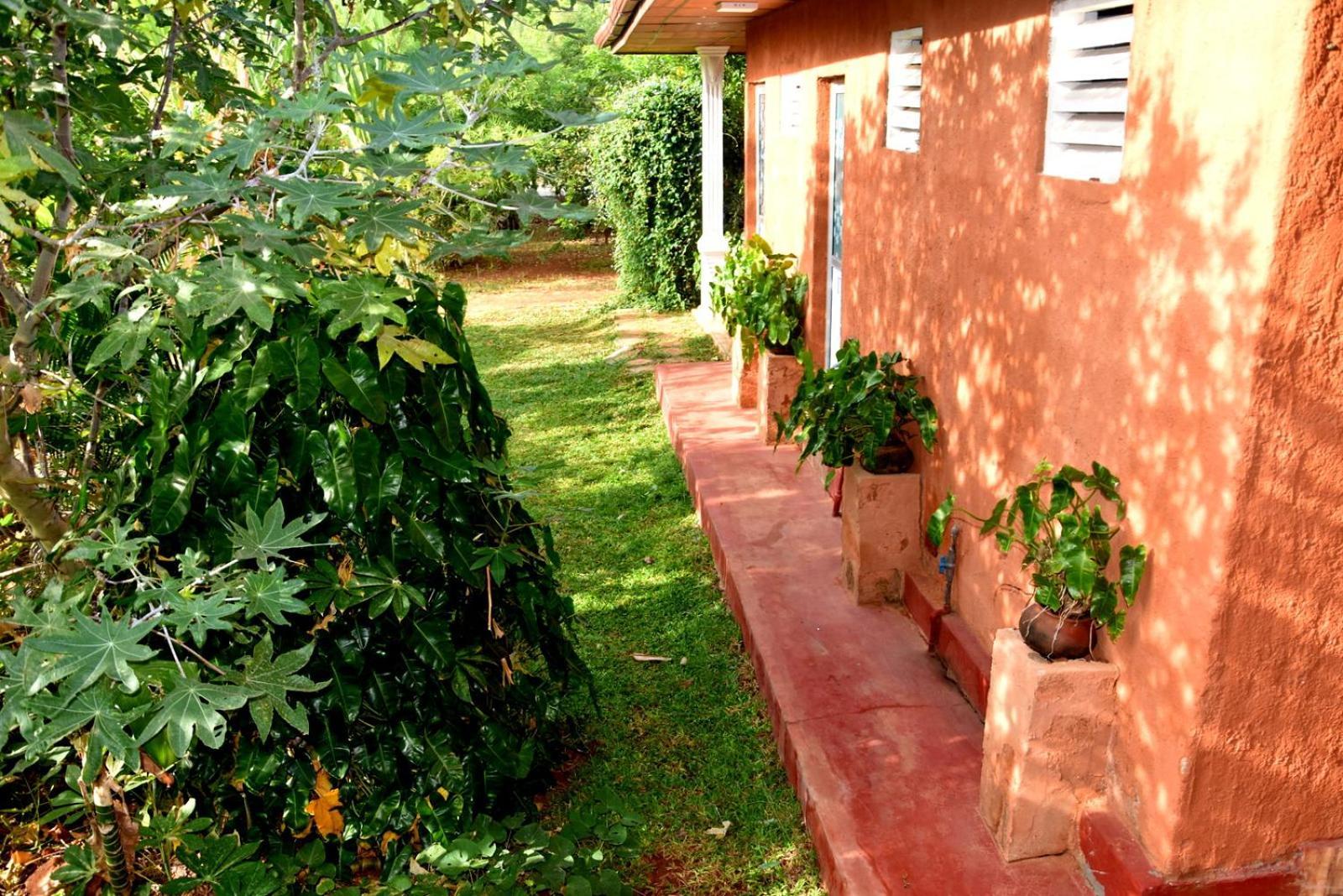 אנוראדפורה Meegahapokuna Resort מראה חיצוני תמונה