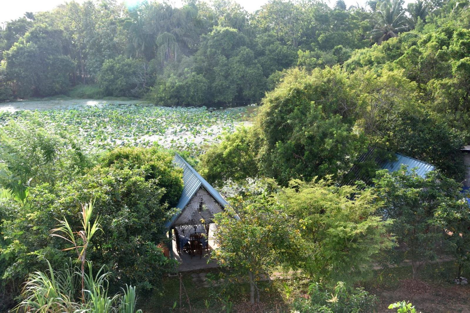 אנוראדפורה Meegahapokuna Resort מראה חיצוני תמונה